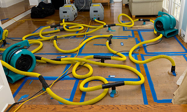 Professional Basement Flood Cleanup technician working in Plymouth, UT